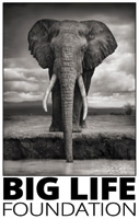 Big Life Foundation