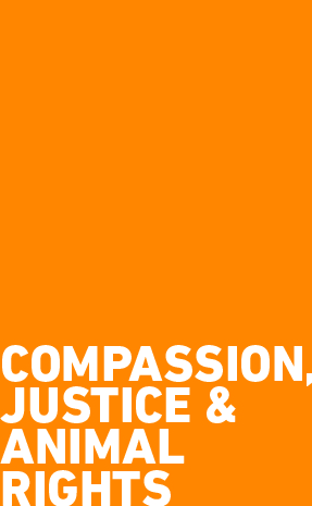 Compassion, Justice & Animal Rights